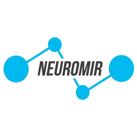 Neuromir